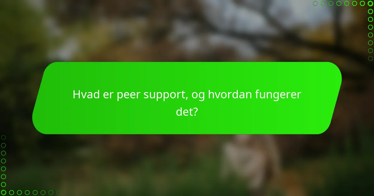 Hvad er peer support, og hvordan fungerer det?